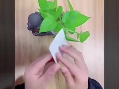 semi-transparent伸縮性があるフィルムのドレッシング